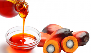 Astuce : les bienfaits de l’huile de palme sur la peau